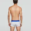 Underpants Male Boxers Briefs Hombre Ropa Interior Men's Comfortable Cotton Wide Belt Solid Color Sexy U Pouch Bragas Slipy