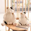 Peluş bebekler 35/45cm Japon kawaii yumuşak peluş kedi oyuncakları doldurulmuş hayvan bebekleri çocuklar hediye güzel şişman kedi yastığı ev dekorasyon 230202
