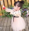 Девушка платья сладко рожденные девочки девочки Bowknot Mesh Dot Princess Dress Press Prompare Farty Sweater Tutu Tullede