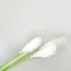 Kwiaty dekoracyjne Fałszywa zielona roślina sztuczna dekoracja ślubna trzcinowa prawdziwy dotyk do domu w domu