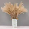 Decorative Flowers 100 Pieces Rustic Dried Pampas Grass Floral Arrangements For Festival Table Decor