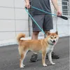 犬の襟ひもシーランニングランニングウォークトレインのための小さなペットリーシェス犬ロープナイロン粘り強さ4色3サイズ