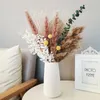 Dekorativa blommor Pampas Grass Palm Dried Flower Natural Bouquet Arrangement Bröllopsfest Dekor Juldekoration för levande hembord