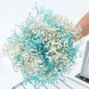 장식용 꽃 자연스러운 말린 진짜 gypsophile light color bouquets baby breath decorations for home washing of Christmas