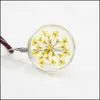 Anhänger Halsketten Halsreifen Party Mode Blume Leder Ball Kristall Glas Getrocknete Blumen Halskette Drop Lieferung Schmuck Anhänger Dh4Rb