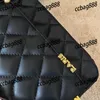 CC Bags Luxury Brand Axel Gold Emblem Classic Chain Flap Women Bag Mini Crossbody Designers Sacoche Clutch Handbags P
