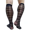 Meias masculinas Ultra Ultra Fin Sheer High Tube Mens Plaid Tene Formal Vê através de Meias Sexy para Sapatos de Couro Soas de Moda de Moda