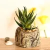 Flores decorativas grinaldas de 2pcs simulação suculenta planta artificial de bonsai decoração de desktop plantas em vasos falsos verde (cacto e aloe)