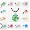 Collares pendientes Gargantillas Fiesta Moda Flor Bola de cuero Cristal Flores secas Collar Gota Entrega Joyas Colgantes Dh4Rb