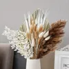 Kwiaty dekoracyjne pampas trawa suszona palmowa kwiat naturalny bukiet