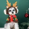 Ubrania dla psa seria mpk strój świąteczny dom.