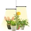 Grow Lights LED Light Phyto Lamp Full Spectrum Ground-plug Plant With Control Timer Indoor Phytolamp For Plants Flower