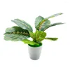 Fleurs décoratives Mini plantes artificielles bonsaï petit arbre simulé Pot faux bureau Table en Pot ornements maison jardin décor