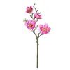 Dekoratif Çiçekler Yulan Manolya Floriculture Phalaenopsis'in hayat benzeri simülasyonu