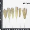 Decorative Flowers 60pcs Natural Pressed Green Bristlegrass Real Plant Hare Tail Grass DIY Wedding Invitations Craft Bookmark Gift Card