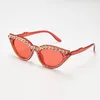 Solglasögon Retro Cat's Eye Women Fullt-Jewelled Sun Glasses Europe Trend Personlighet gränsöverskridande glasögon1