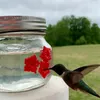 Otros suministros para pájaros Alimentador Portátil para colgar al aire libre Diseño de depósito transparente Flor fluida