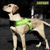 Collari per cani Imbracatura LED regolabile Gilet per animali domestici Mesh traspirante No Pull per accessori da viaggio notturni di medie e grandi dimensioni Impertinenti S/M/L/XL