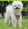 Dog Collars Pet Traction Rope Plaid Square Bra Strap Nylon Net Reflective Vest Puppy Clothes