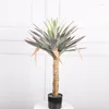 Decorative Flowers Nordic Large-scale High-simulation Crown Agave Interior Decoration Phoenix Orchid Floor Plant Fake Potted