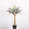 Fiori decorativi nordici su larga scala ad alta simulazione Corona Agave Decorazione interna Phoenix Orchidea Pianta da pavimento Finto in vaso