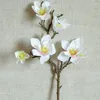 Decoratieve bloemen Yulan Magnolia Floriculture Lifelike Simulation of Phalaenopsis