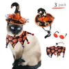 Vestuário para cachorro pet halloween conjunto gato engraçado chapéu triângulo lengo de abóbora acessórios de abóbora filhotes filhotes