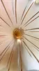 Duvar lambaları murano cam lamba iç dekorasyon sanatı dekor renkli montaj ışık
