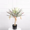 Decorative Flowers Nordic Large-scale High-simulation Crown Agave Interior Decoration Phoenix Orchid Floor Plant Fake Potted