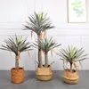 Fiori decorativi nordici su larga scala ad alta simulazione Corona Agave Decorazione interna Phoenix Orchidea Pianta da pavimento Finto in vaso