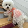 Designer Dog Robes Old Flower Dog Apparel Lettre L Motif Doux Pet Vest Refroidissement Puupy Robe Jupe pour Petits Chiens Chats PS1761