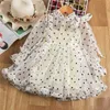 Girl Dresses Girls Chiffon Lace Mesh Mesh Princess Abito per bambini Polka Dot Tutu Stupy Full Maniche Summer Childre