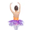 Wear Wear Retail Wholesale Seasin Lycra COLICE TULLE JOURTS LOCKET LOCKETARD ROBE TUTU POUR PERFORMANCE TOUTES TALLES