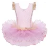 Stage Wear BAOHULU Summer Baby Girls Leotards Ballet Dress Tutu Skirt Fairy Dance Party Costumes Dress/Tutus