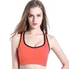 Completo da yoga Taglie forti Reggiseno sportivo da donna Top Canotta Reggiseno imbottito Fitness Canotta sportiva Push up femminile