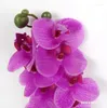 Dekoracyjne kwiaty hurtowe prawdziwe dotyk sztuczne storczyki motyla małe filc lateksowe ćmy Orchidea ślub phalaenopsis 12pcs