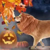 Abbigliamento per cani Costume da leone Costumi di criniera realistici per cani di taglia medio-grande Cosplay di Halloween