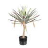 Fiori decorativi nordici su larga scala ad alta simulazione Corona Agave Decorazione interna Phoenix Orchidea Pianta da pavimento Finto in vaso