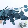 Decorative Flowers 80g/Decorative Dried Preserved Eucalyptus Tenuifolia Bouquet Leaves Eternelle Camaldulensis Garland For Home