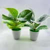 Fleurs décoratives Mini plantes artificielles bonsaï petit arbre simulé Pot faux bureau Table en Pot ornements maison jardin décor