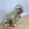 Дизайнерская одежда для собак бренд Pet Rain Paintcoat Waterpronation Transparence Letter L Два фута за пределами дождливых верхних частей модные домашние животные Coats PS1752