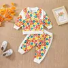 Kläder sätter Focusnorm 0-3y Autumn Baby Girls Lovely Clothes Sunflowers Tryckt lapptäcke Långärmad dragkedja Toppar