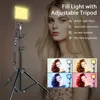 Flash Heads LED Pography Video Light Panel Lighting Po Studio Lamp Kit With Tripod Stand RGB Filters For Shoot Live Youbube Streaming