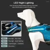 Hundhalsar Harness Justerbar LED PET Vest Breattable Mesh Inget drag för medelstora stygg S/M/L/XL Night Travel Accessories
