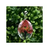 H￤nge halsband mode smycken torkat blomma halsband glas ovalt tr￤d av liv terrarium glid droppleverans h￤ngsmycken dhhgp