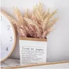 Flores decorativas 1pcs pampas artificiais grama rima plástico decoração de casamento acessórios de quarto em casa