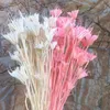 Dried Flowers About 35 Flower Heads Dried Natural Flowers Branch DIY Dry Eternelle Star Anise Flower Bouquet For Home Decor Floral Arrangement 230204