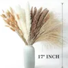 الزهور المجففة 100 PCS Pampas Grass تحتوي على باقة القصب Bunny Tail