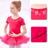 Stage Wear Long Sleeve Ballet Dress With Tutu Girls Lace Leotard Little Princess Training Dancewear Clothing For