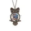 Pendentif Colliers Bijoux De Mode Vintage Time Gem Cabochon Steampunk Hibou Collier Pull Drop Delivery Pendentifs Dheuc